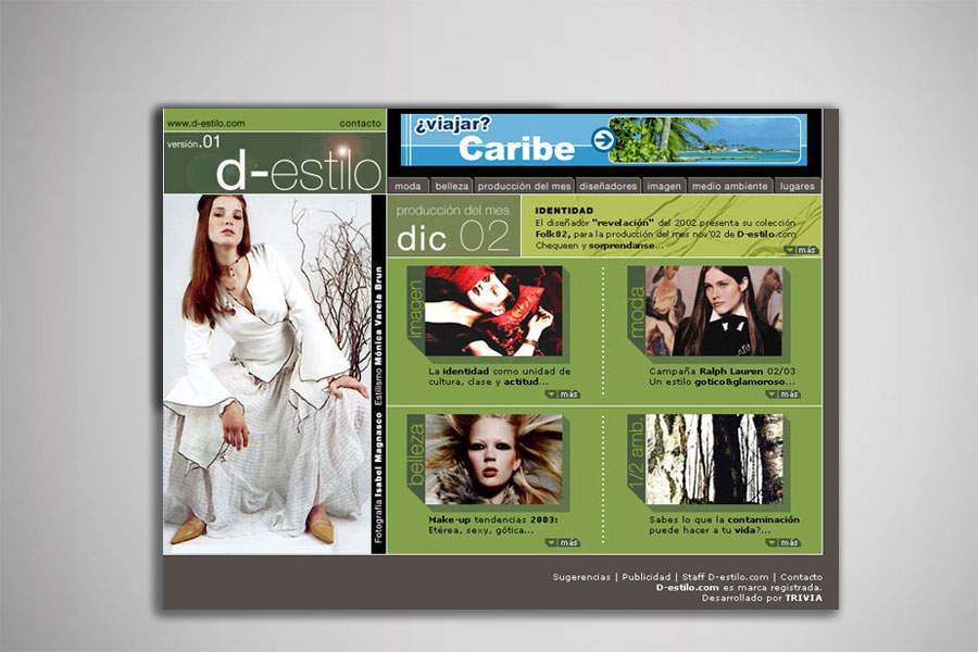 D-ESTILOS.COM<span>Website</span>